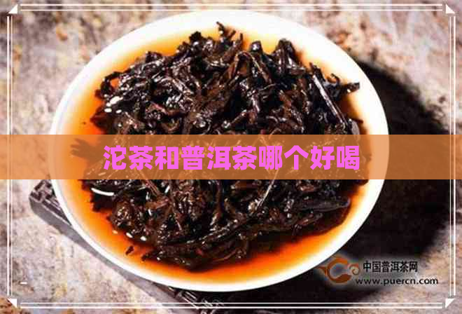 沱茶和普洱茶哪个好喝