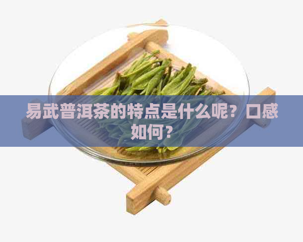 易武普洱茶的特点是什么呢？口感如何？