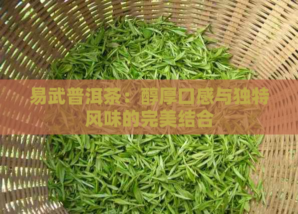 易武普洱茶：醇厚口感与独特风味的完美结合