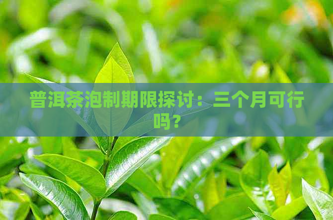 普洱茶泡制期限探讨：三个月可行吗？