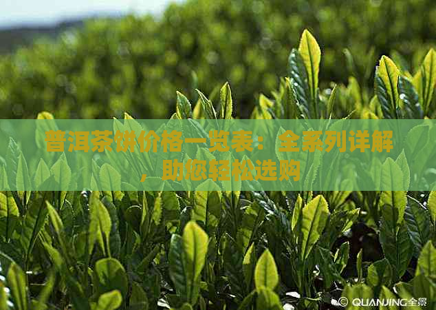 普洱茶饼价格一览表：全系列详解，助您轻松选购