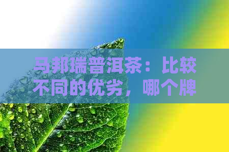 马邦瑞普洱茶：比较不同的优劣，哪个牌子更值得推荐？