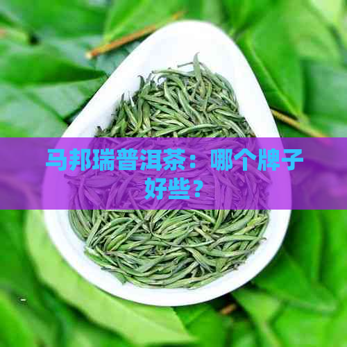 马邦瑞普洱茶：哪个牌子好些？