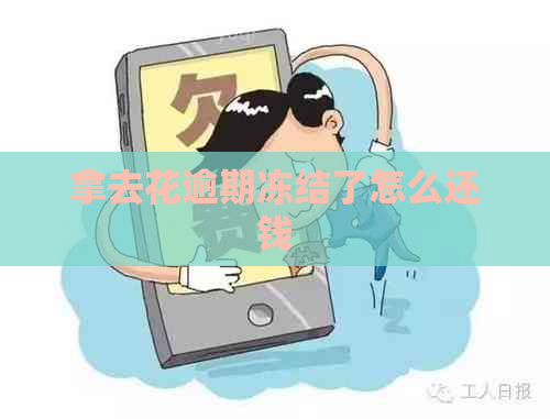 拿去花逾期冻结了怎么还钱