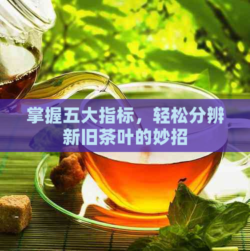 掌握五大指标，轻松分辨新旧茶叶的妙招