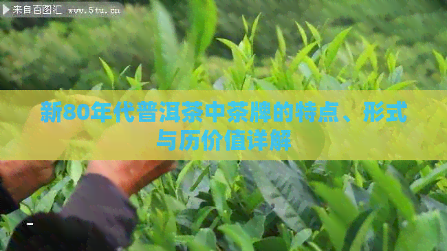 新80年代普洱茶中茶牌的特点、形式与历价值详解