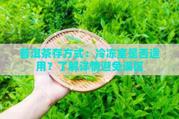 普洱茶存方式：冷冻室是否适用？了解详情避免误区