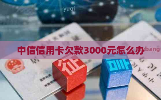 中信信用卡欠款3000元怎么办