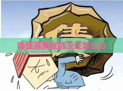 哈银消费金融没还怎么办