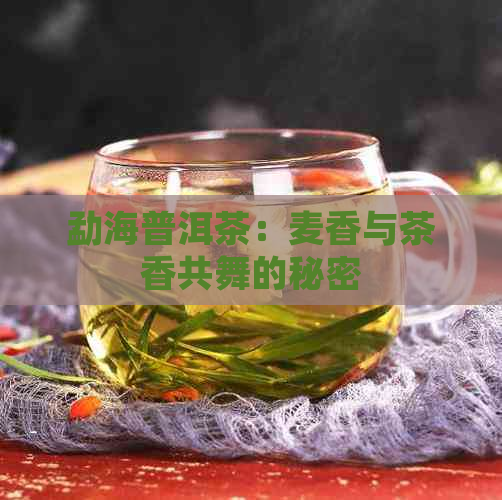 勐海普洱茶：麦香与茶香共舞的秘密