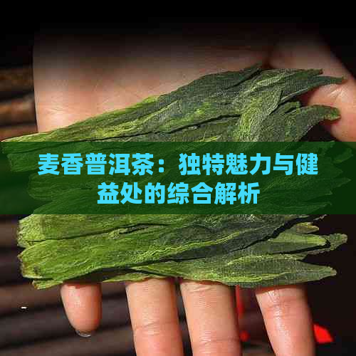 麦香普洱茶：独特魅力与健益处的综合解析