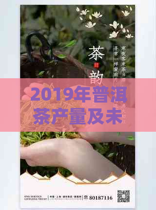 2019年普洱茶产量及未来趋势分析：云南产值与全球市场动态