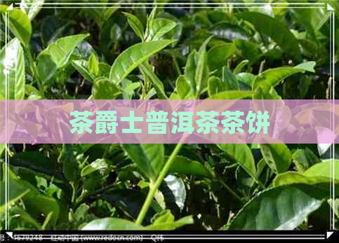 茶爵士普洱茶茶饼