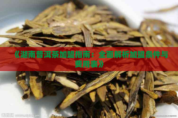 《湖南普洱茶加盟指南：全面解析加盟条件与费用表》