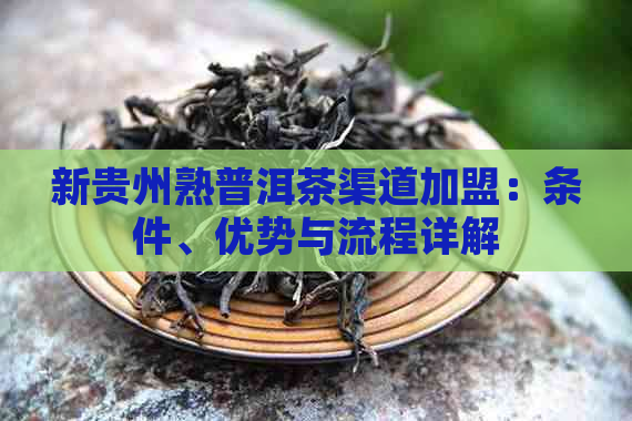 新贵州熟普洱茶渠道加盟：条件、优势与流程详解