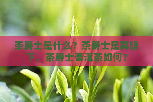 茶爵士是什么？茶爵士是其旗下。茶爵士普洱茶如何？