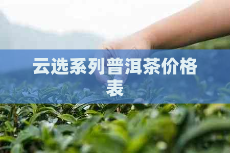 云选系列普洱茶价格表