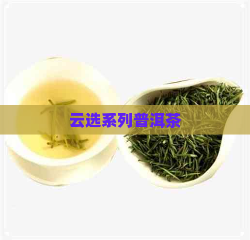 云选系列普洱茶