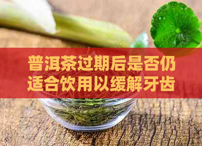 普洱茶过期后是否仍适合饮用以缓解牙齿痛？