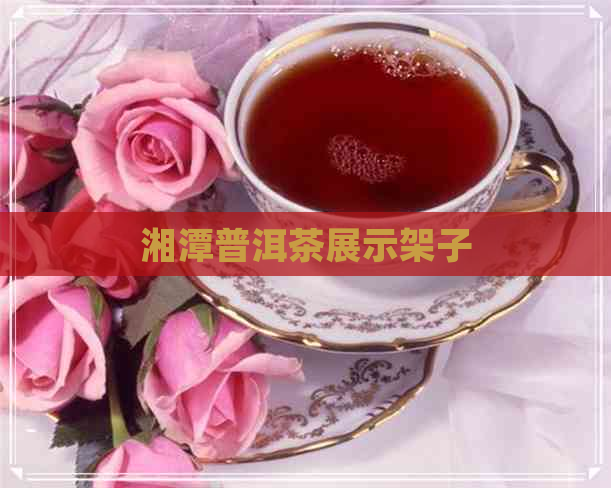 湘潭普洱茶展示架子