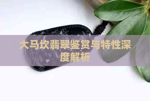 大马坎翡翠鉴赏与特性深度解析