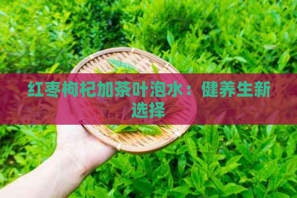 红枣枸杞加茶叶泡水：健养生新选择