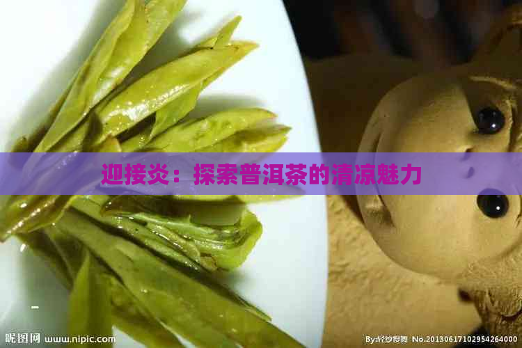 迎接炎：探索普洱茶的清凉魅力