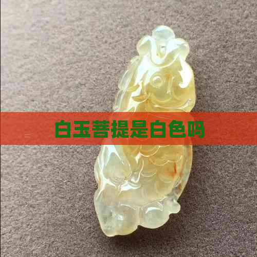 白玉菩提是白色吗