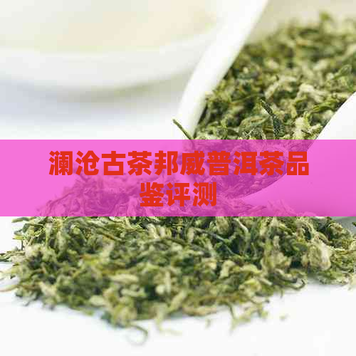 澜沧古茶邦威普洱茶品鉴评测