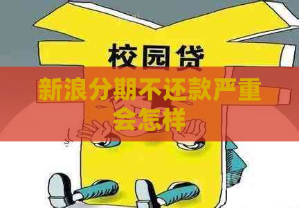 新浪分期不还款严重会怎样