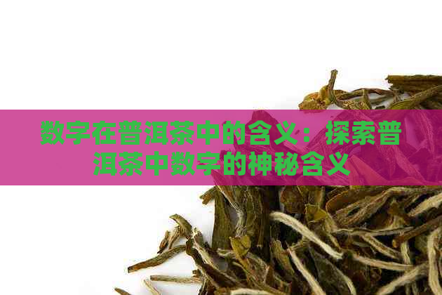 数字在普洱茶中的含义：探索普洱茶中数字的神秘含义