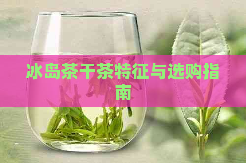 冰岛茶干茶特征与选购指南