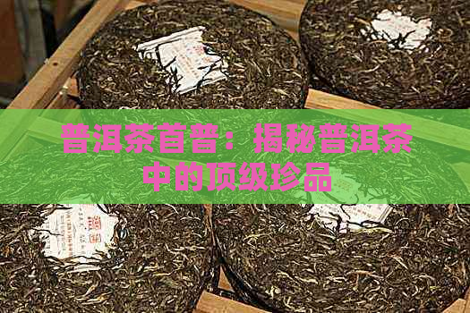 普洱茶首普：揭秘普洱茶中的顶级珍品