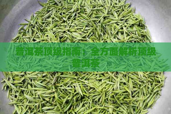 普洱茶顶级指南：全方面解析顶级普洱茶