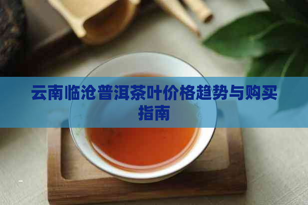 云南临沧普洱茶叶价格趋势与购买指南