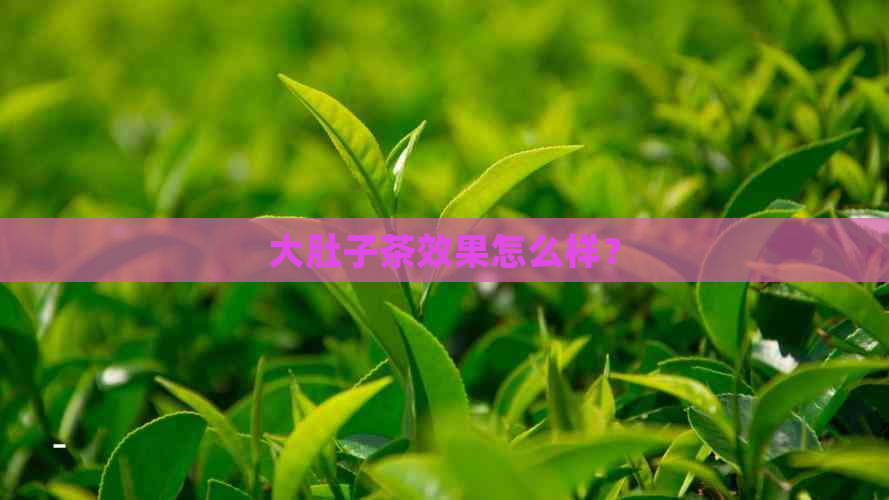 大肚子茶效果怎么样？