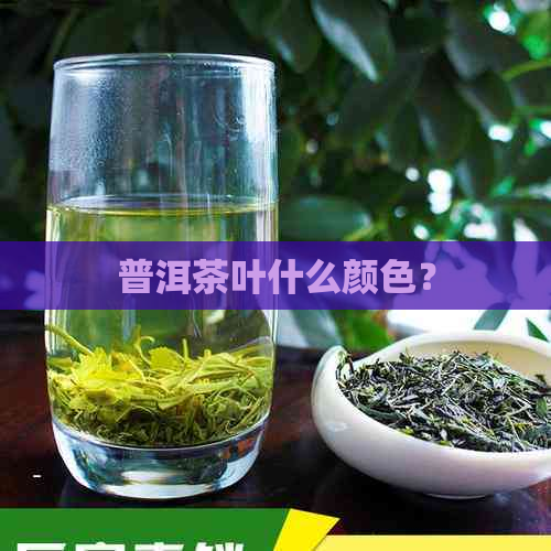 普洱茶叶什么颜色？