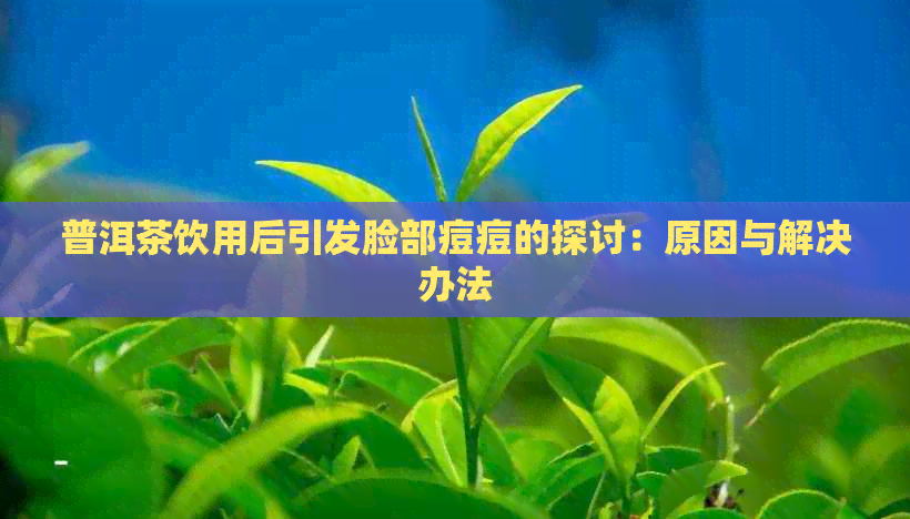 普洱茶饮用后引发脸部痘痘的探讨：原因与解决办法