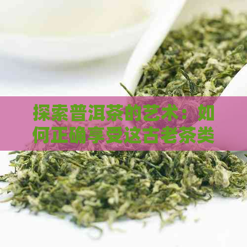 探索普洱茶的艺术：如何正确享受这古老茶类