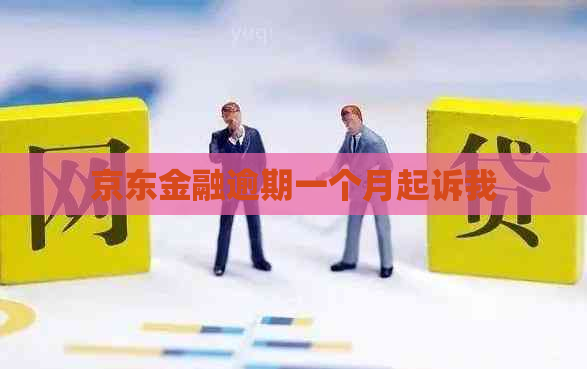 京东金融逾期一个月起诉我