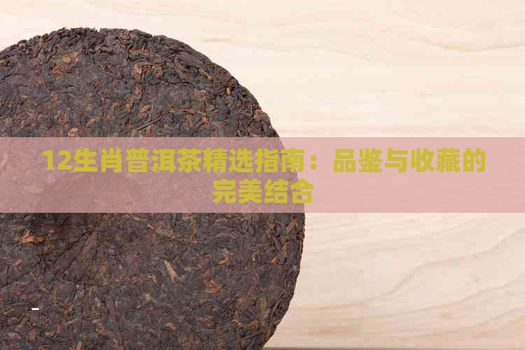 12生肖普洱茶精选指南：品鉴与收藏的完美结合