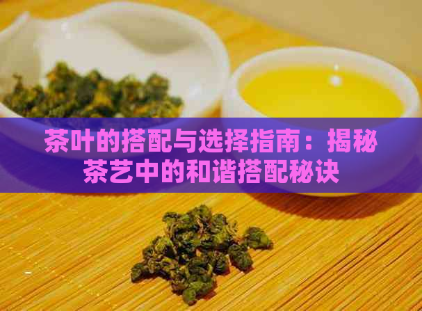 茶叶的搭配与选择指南：揭秘茶艺中的和谐搭配秘诀