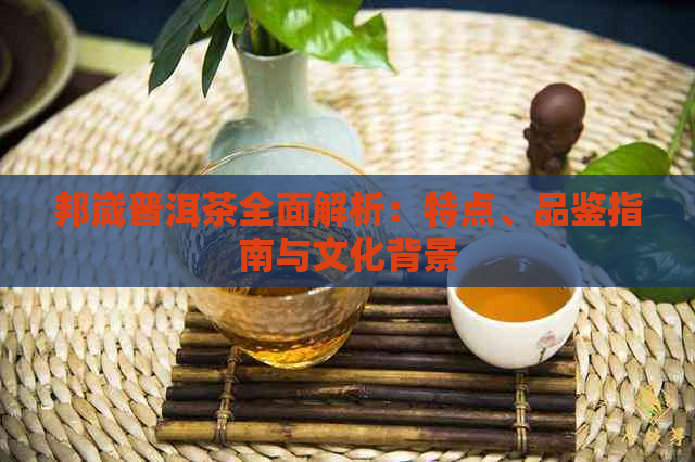 邦崴普洱茶全面解析：特点、品鉴指南与文化背景