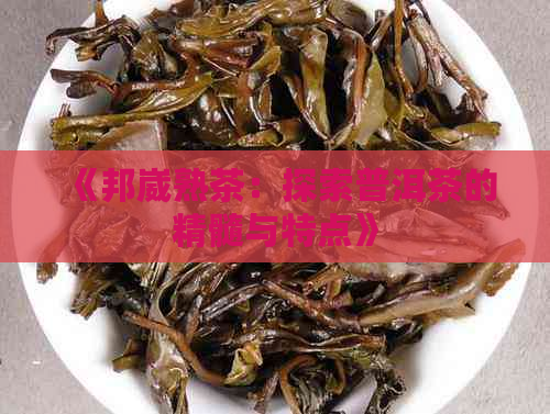 《邦崴熟茶：探索普洱茶的精髓与特点》