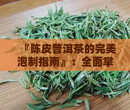 『陈皮普洱茶的完美泡制指南』：全面掌握如何冲泡出风味