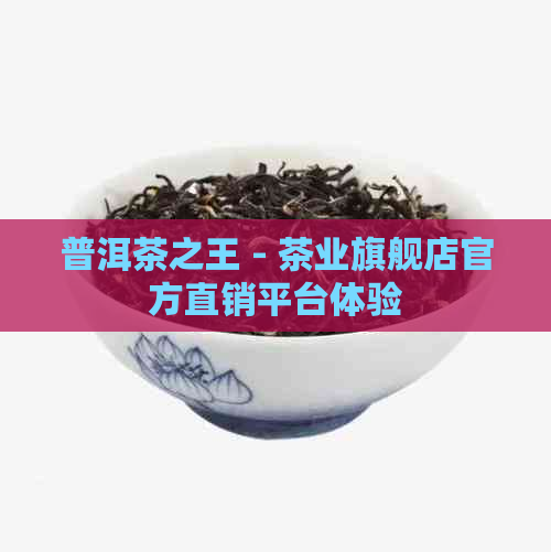 普洱茶之王 - 茶业旗舰店官方直销平台体验