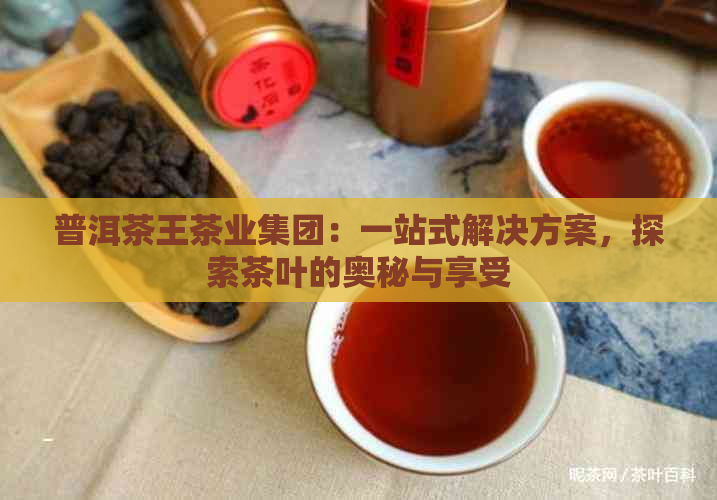 普洱茶王茶业集团：一站式解决方案，探索茶叶的奥秘与享受