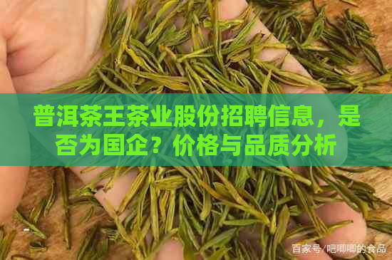 普洱茶王茶业股份招聘信息，是否为国企？价格与品质分析