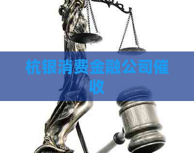 杭银消费金融公司