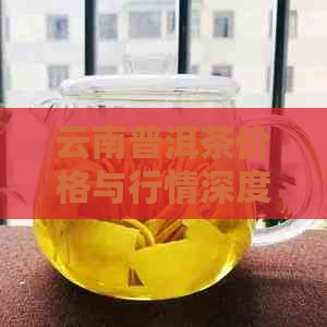 云南普洱茶价格与行情深度解析